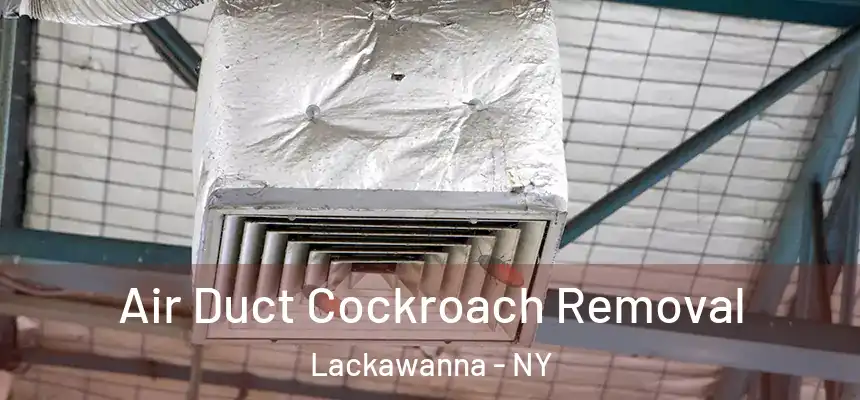  Air Duct Cockroach Removal Lackawanna - NY