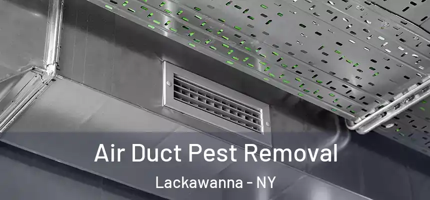  Air Duct Pest Removal Lackawanna - NY