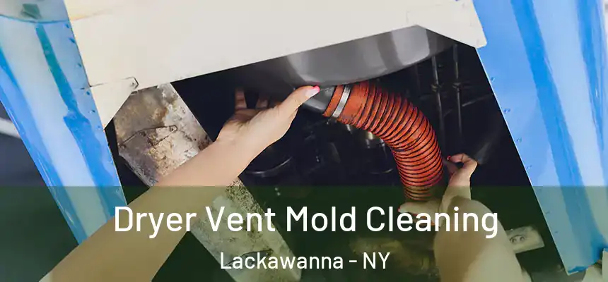  Dryer Vent Mold Cleaning Lackawanna - NY