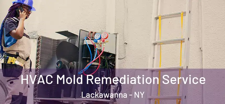  HVAC Mold Remediation Service Lackawanna - NY