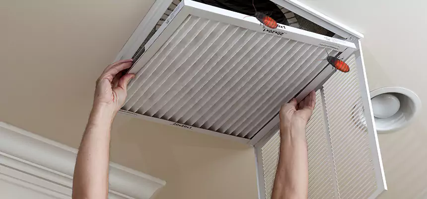 Preventive Cockroach-Proofing for Ducts in Lackawanna