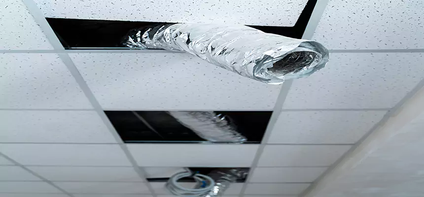 Our Air Duct Pet Hair Removal Services in Lackawanna, NY