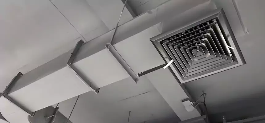 Restorative Allergy Relief Vent Cleaning – Coil, Blower & Housing Detail in Lackawanna