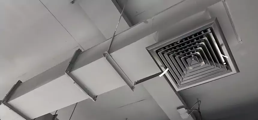 Our Rodent Droppings In Vents Services in Lackawanna, NY