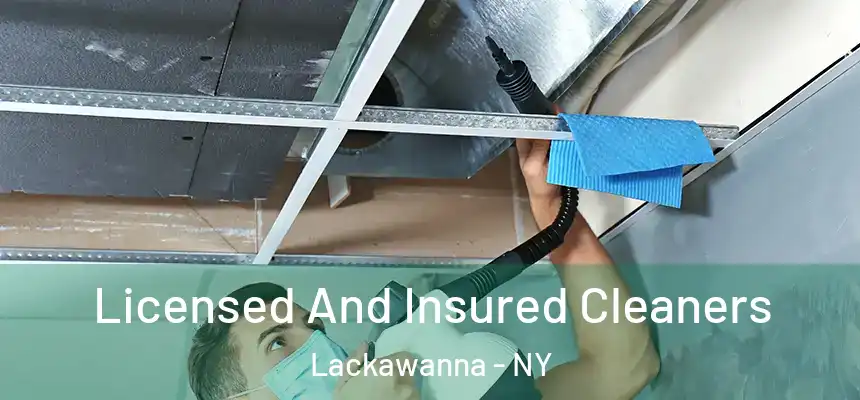  Licensed And Insured Cleaners Lackawanna - NY