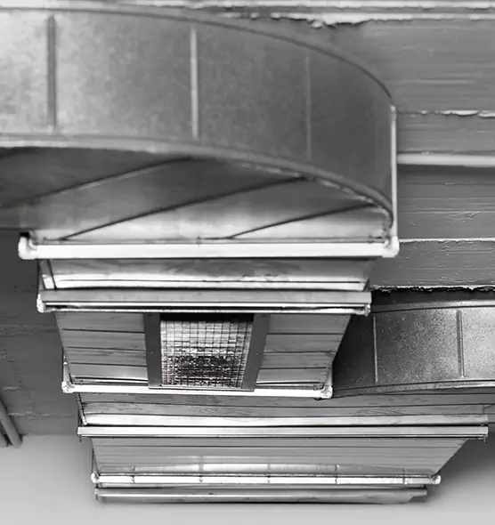 Professional Air Duct Pest Removal in Lackawanna, NY